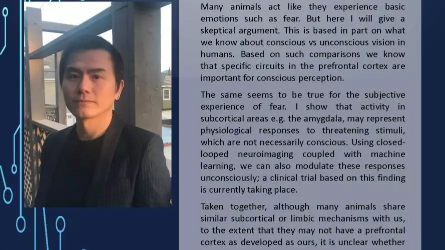 2020 mt  consciousness and fear