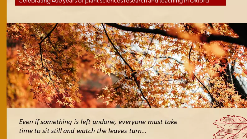 slide3