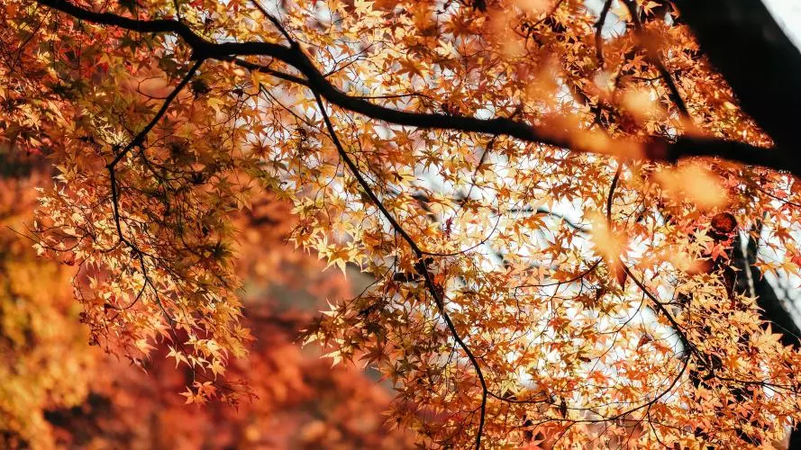 insung yoon aiwx5w9wwng unsplash
